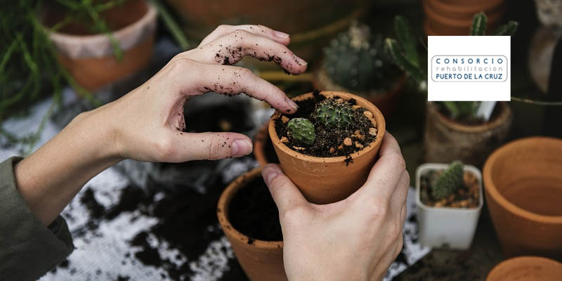 Cómo desarrollar la estrategia ambiental en una PYME. 13/11/2018
