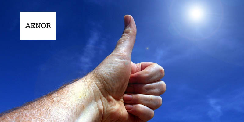 Transición a la nueva norma ISO 45001. 19/11/2018