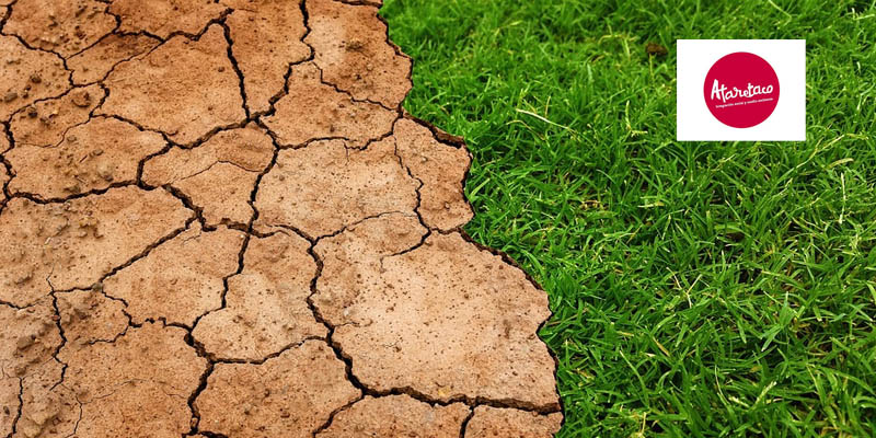 “Contra el cambio climático… yo reutilizo residuos ¿y tú? – ¡Calcula las emisiones que puedes evitar! 4/12/2018