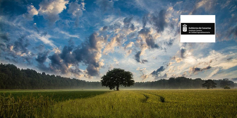 Jornada. Aplicación de mejoras en el manejo de la fertilidad de los suelos. 15/11/2018