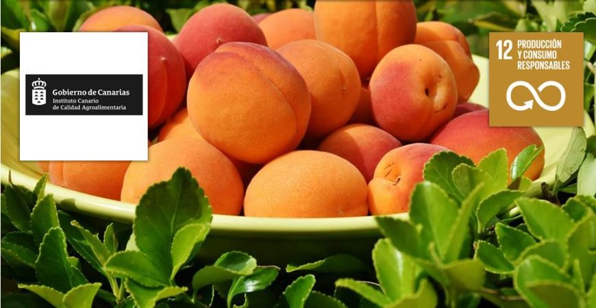 Programa ecocomedores de Canarias. ODS-12. ICCA