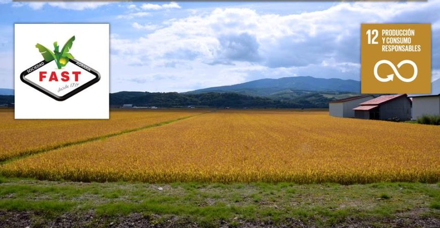 Cero desperdicios y una buena causa. ODS-12. La FAST