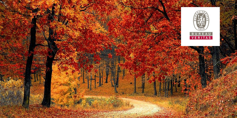 La naturaleza como m&aacute;xima ejemplificadora de una acci&oacute;n de calidad responsable. 10/11/2021. Webinar. Bureau Veritas