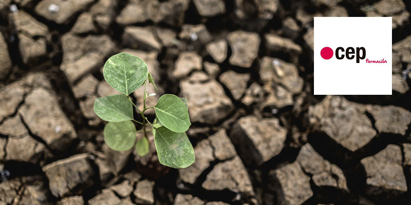 Prevención de Riesgos Ambientales. Curso. 10/11/2025. CEP Santa Cruz