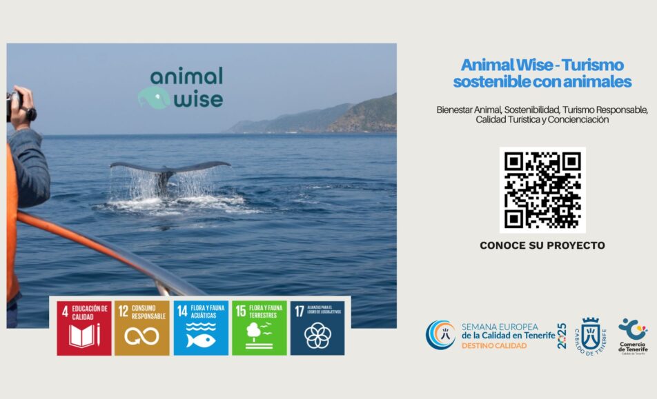 Turismo sostenible con animales. ODS: 4, 12, 14, 15, 17. Animal Wise.